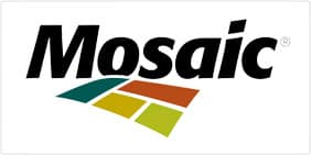 Mosaic logo